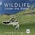 Wildlife Under the Waves