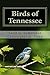 Birds of Tennessee: A New Annotated Checklist