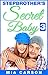 Stepbrother's Secret Baby #3