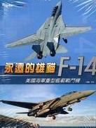 永遠的雄貓F-14 (美國海軍重型艦載戰鬥機)