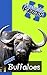 Fantastic Facts About Buffaloes: Illustrated Fun Learning For Kids