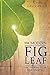 The Modern Fig Leaf: Uncovering Your True Identity