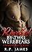 Ravished by Two Werebears