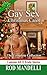 A Modern Gay Sex Christmas ...