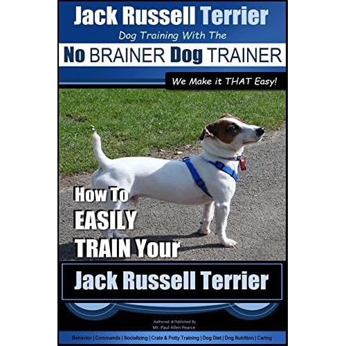 jack russell terrier potty training