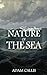 The Nature of The Sea