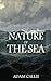 The Nature of The Sea