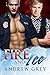 Fire and Ice (Carlisle Cops...