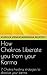 How Chakras Liberate you from your Karma by Kuruva Venkataramana Murthy