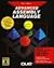Advanced Assembly Language (Programming Series)