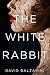 The White Rabbit