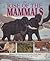 The Rise of the Mammals