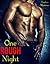 One Rough Night (BWWM Motorcycle Erotic Romance)