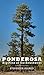 Ponderosa: Big Pine of the ...