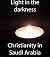 Light in the Darkness: Chri...