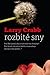 Rozbité sny by Larry Crabb