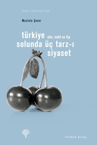 Türkiye Solunda Üç Tarz-ı Siyaset: YÖN, MDD ve TİP (Paperback)