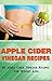 Apple Cider Vinegar Recipes: 45 Apple Cider Vinegar Recipes For Weight Loss! (Diet for Beginners, Quick and Easy Recipes)