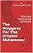 The Polygamy For The Prophet Muhammad: Why nine wives at the same time