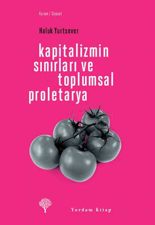 Kapitalizmin Sınırları ve Toplumsal Proletarya (Paperback)