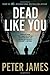 Dead Like You (Roy Grace, #6)