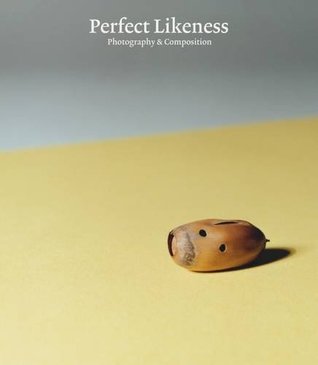 Perfect Likeness: Photography & Composition (Hardcover)
