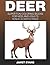 Deer: Super Fun Coloring Books For Kids And Adults (Bonus: 20 Sketch Pages)
