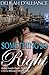 Something So Right, Book One: A Secret Billionaire BBW Romance (Steamy Seattle Diaries 1)