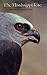 The Mississippi Kite: Portrait of a Southern Hawk (Corrie Herring Hooks Series Book 25)