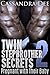 Twin Stepbrother Secrets 2: Pregnant with Their Baby