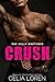 Crush (The Kelly Brothers, #1)