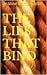 The Lies That Bind (Allison Taylor series #1)