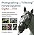 Photographing and Videoing Horses Explained by Charles C. Mann