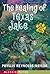 The Healing of Texas Jake by Phyllis Reynolds Naylor