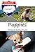 Puppies: Pictures & Fun Facts (Road Trip Quiet Time Books Book 2)