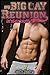 My Big Gay Reunion (In Plain Sight Book 2)