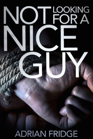 Not Looking for a Nice Guy (ebook)