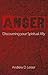 Anger by Andrew D. Lester