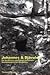 Johannes och Djävulen: En berättelse om Pampa-Johannes, grottmannen från Elsebråne