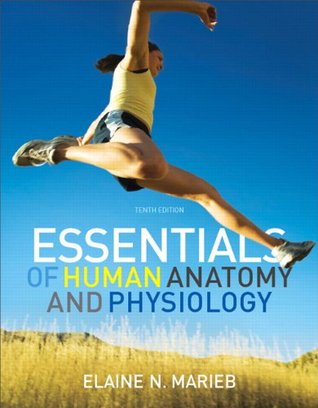 Essentials of Human Anatomy & Physiology (Paperback)