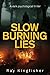 Slow Burning Lies by Ray Backley