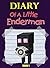 Diary Of A Little Enderman ...