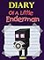 Diary Of A Little Enderman by Lego Kid