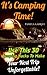It's Camping Time! Use This 30 Camping Hacks To Make Your Next Trip Unforgettable!: (Camping For Beginners, Backpacking For Beginners, Camping Hacks, Travel, ... Essentials For Beginners Book 1)
