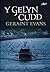 Y Gelyn Cudd (Nofelau Ditectif Gareth Prior Book 4) (Welsh Edition)