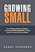 Growing Small: How to Manage, Market and Measure Your Way to Retail Success in 90 days! Even if You Have No Time or Money
