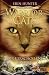 Der Verschollene Krieger by Erin Hunter
