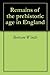 Remains of the Prehistoric Age in England