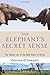 The Elephant's Secret Sense...