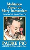 Meditation Prayer on Mary Immaculate